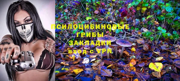 2c-b Магадан