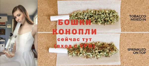 дживик Майский