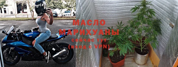 дживик Майский