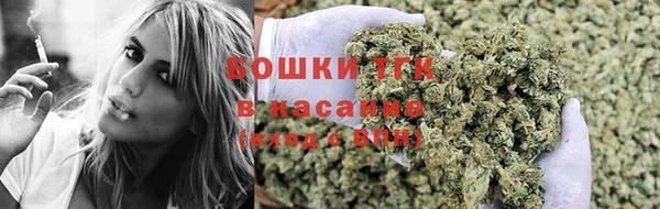 дживик Майский
