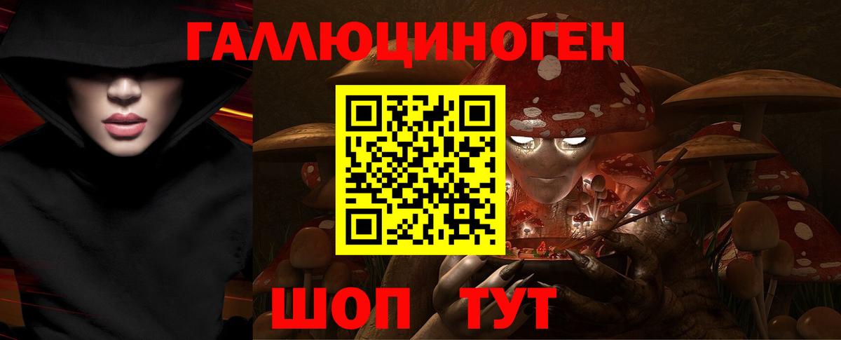 Псилоцибиновые грибы Psilocybe Россия